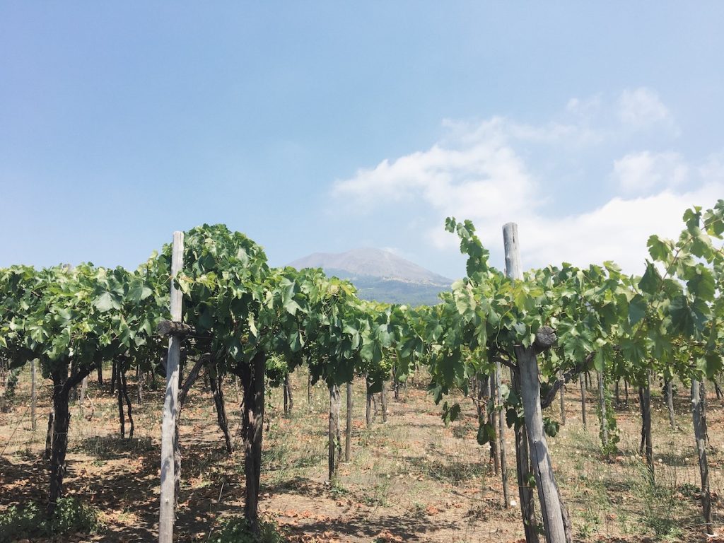 Cantina del Vesuvio Winery